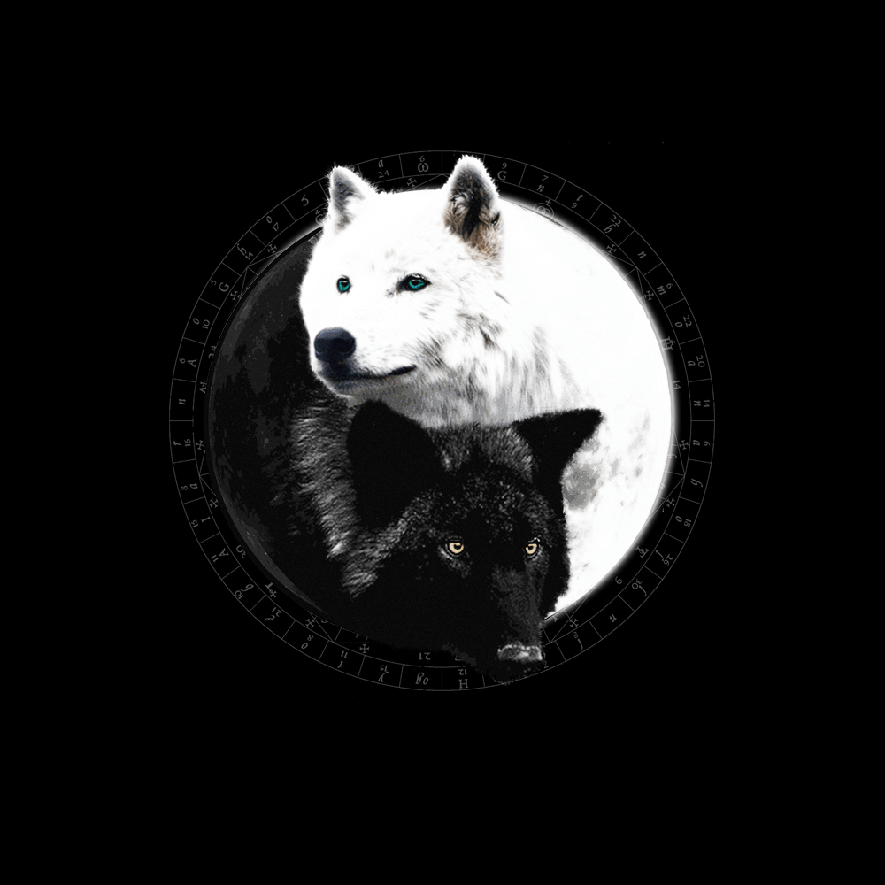 Yin Yang Wolf Inspired by Witchcraft & Wicca Men's Flip Flops