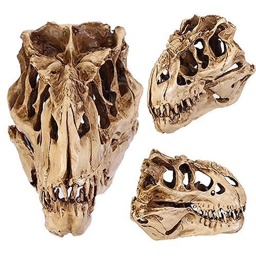 Resin Crafts Dinosaur Tooth Skull Fossil Teaching Skeleton Model Halloween Home Office Halloween Decoration