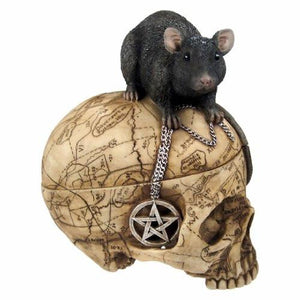 Salem Witch Witchcraft Skull with Pentagram Pentacle Mouse Jewelry Trinket Box Statue Figurine