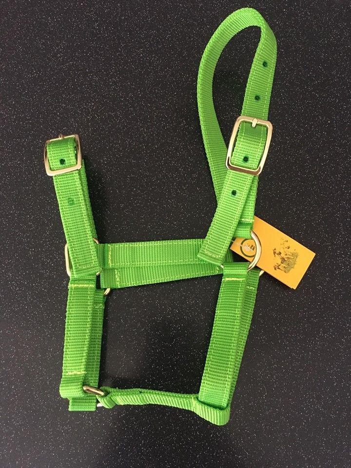 Showcraft Halter Foal (Brass) Green