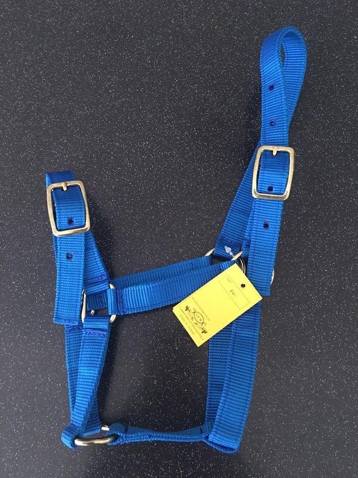 Showcraft Halter Foal (Brass) Blue