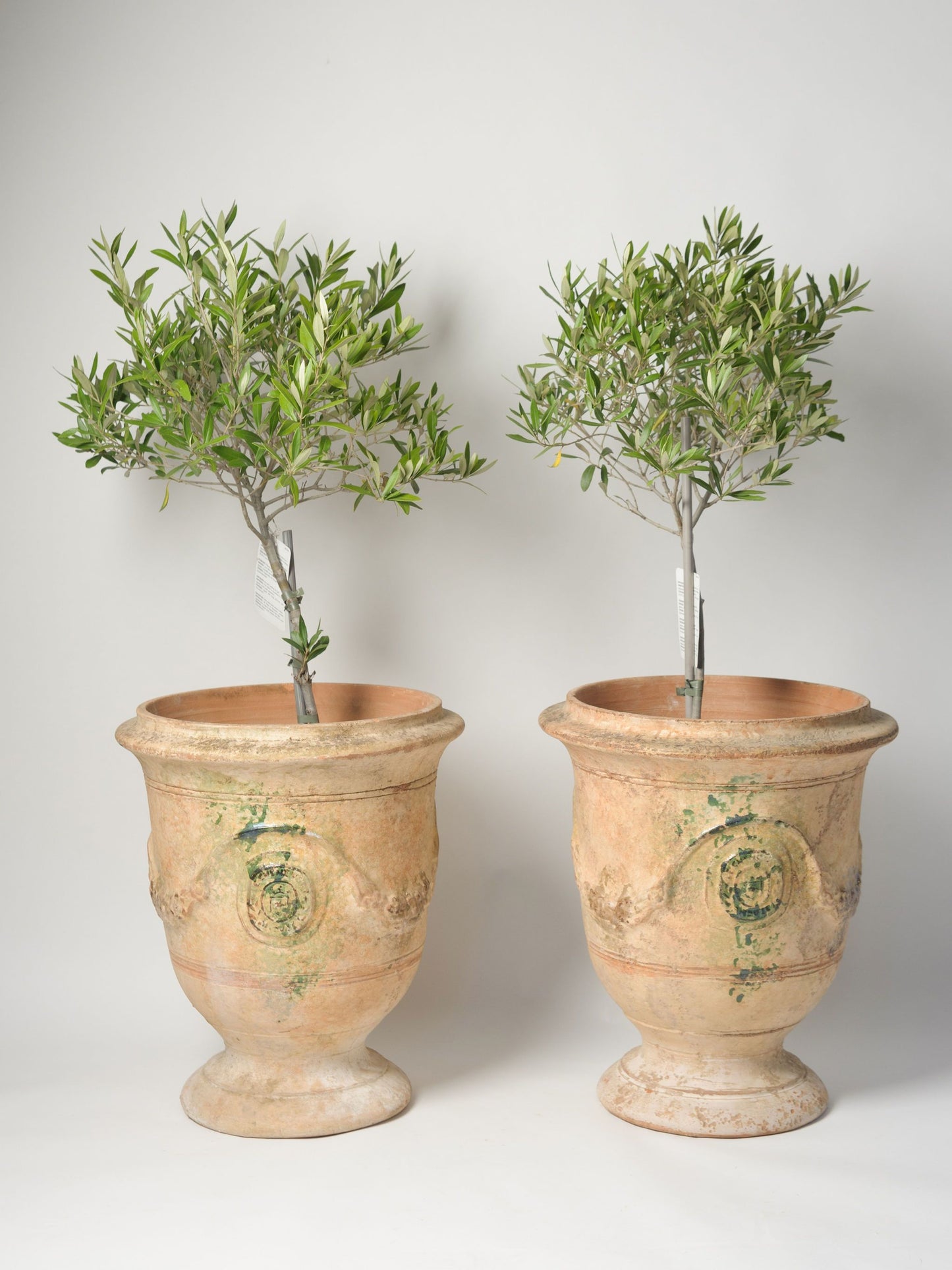 Pair Authentic Handcrafted Anduze Planters dated 2010