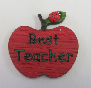 Handcrafted beautiful best teacher apple fridge magnet