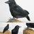 New Raven Feather Art Artificial Crow Crafts Prop Halloween Bird Realistic Party