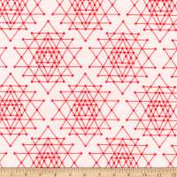 Palm Canyon - by Violet Craft -Geo Trellis -Carol