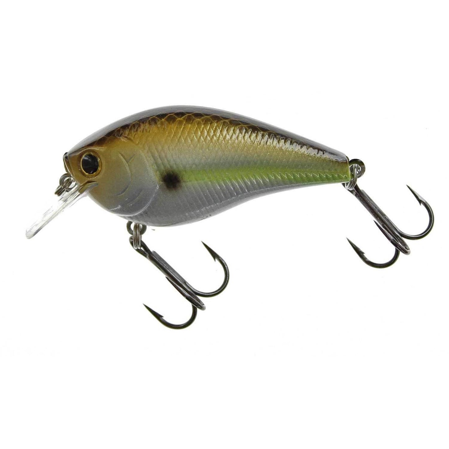 Lucky Craft LC 1.5 Gizzard Shad