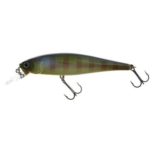 Lucky Craft Pointer 100 BE Gill