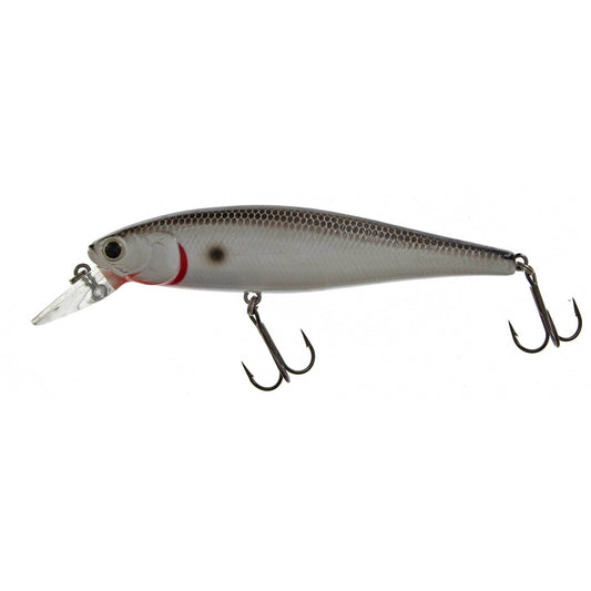 Lucky Craft Pointer 100 Original Tennessee Shad