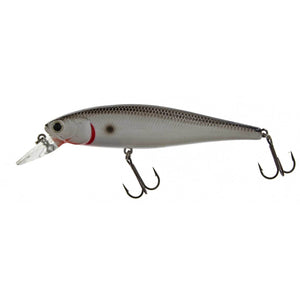 Lucky Craft Pointer 100 Original Tennessee Shad