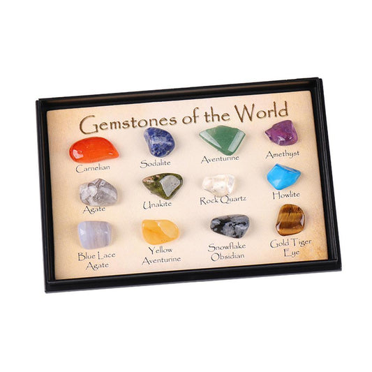Ore Fossil Set Ornament Natural Stone Craft Crystal Gemstone