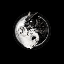 Load image into Gallery viewer, Yin Yang Owl Inspired by Witchcraft &amp; Wicca Socks