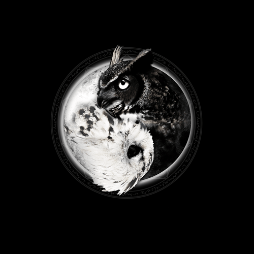 Yin Yang Owl Inspired by Witchcraft & Wicca Socks