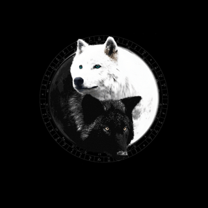 Yin Yang Wolf Inspired by Witchcraft & Wicca Socks